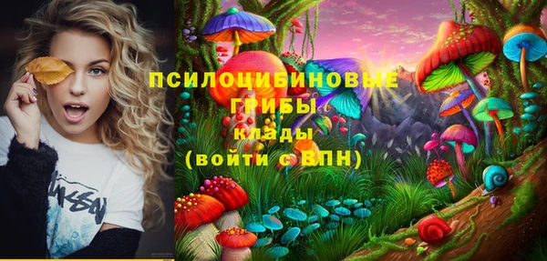 соль курить ск Новозыбков