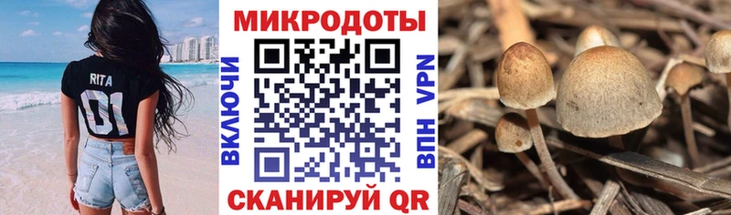 даркнет сайт  Лысково  Псилоцибиновые грибы MAGIC MUSHROOMS 