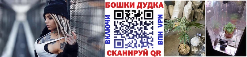 Канабис LSD WEED  OMG маркетплейс  Лысково  что такое  